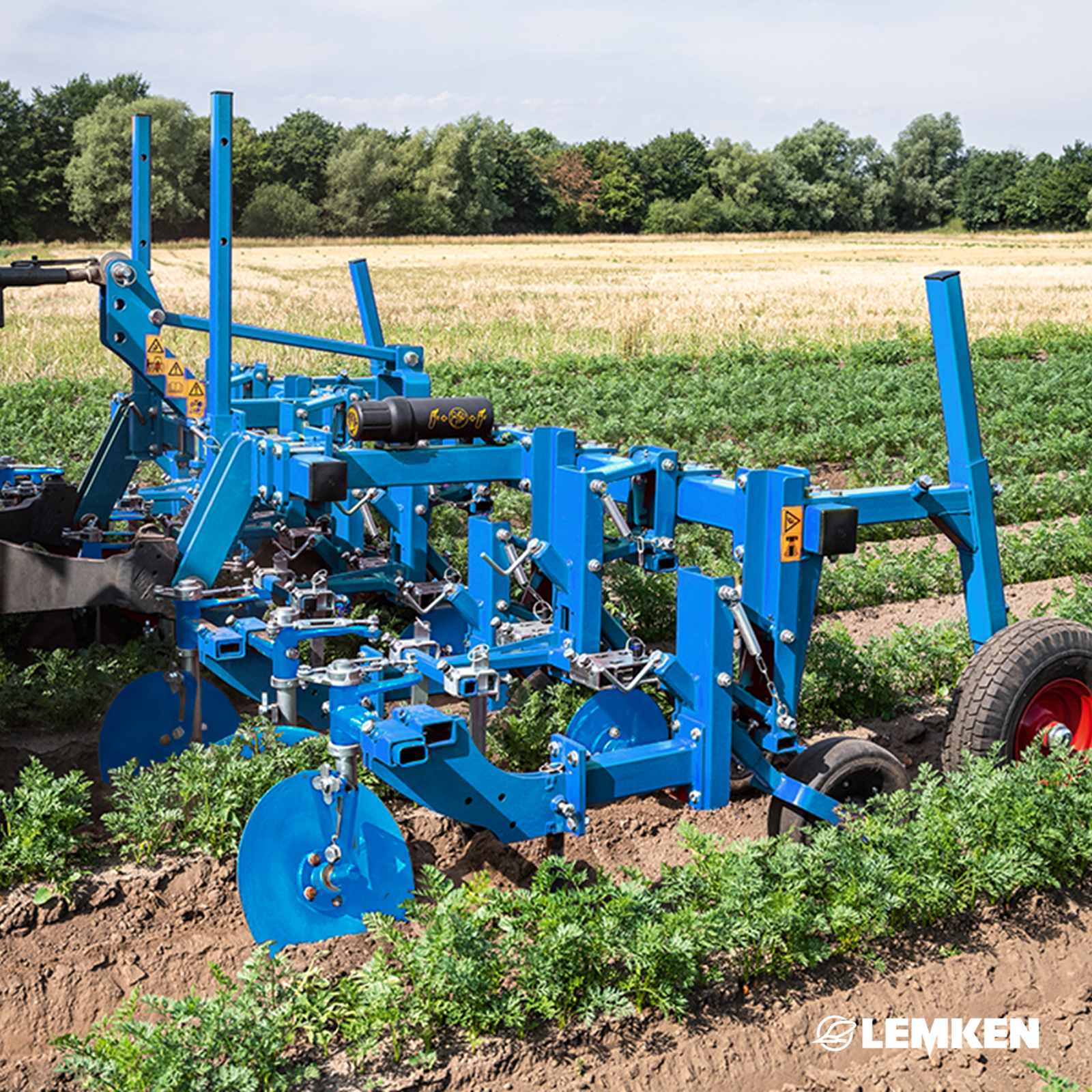 Bineuse EC RIDGER LEMKEN pour toutes cultures